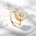 Helia Shine Anxiety Ring - silver spinner ring
